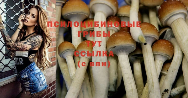 спиды Алзамай