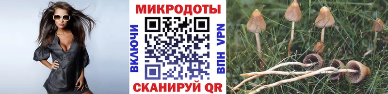 Галлюциногенные грибы мицелий  Пролетарск 
